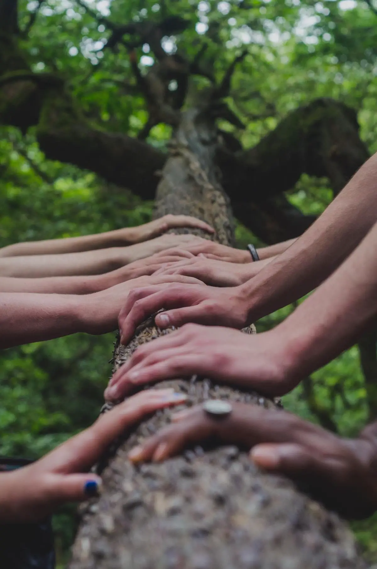 Image depicting a diverse group of people joining hands, symbolizing unity and the power of social justice movements.
